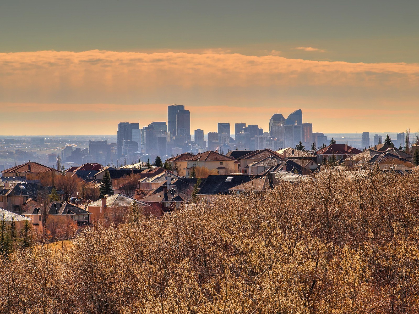 ‘MAID in Canada’ by City News