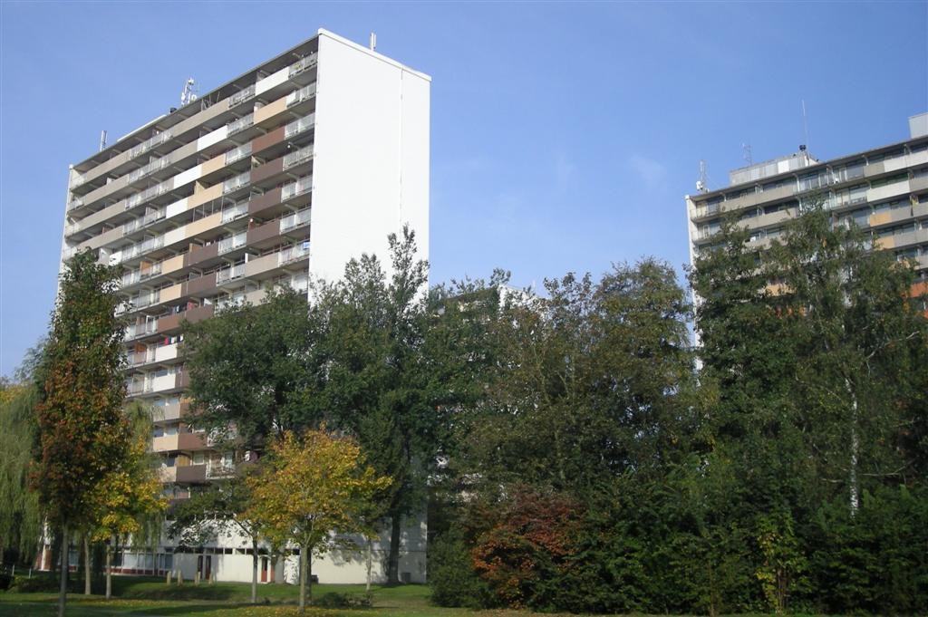 ‘Moeders springen niet van flats’ by Elena Lindemans